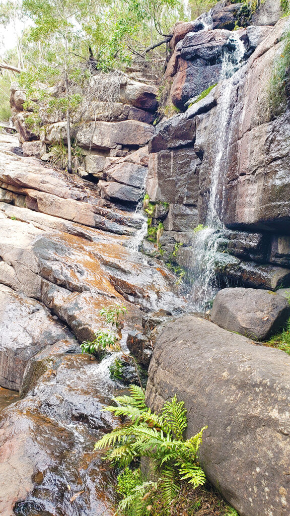 Splitter Falls in the Grampians