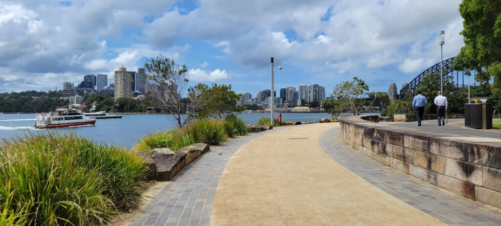 View of Sydney Harbour from Barangaroo Reserve