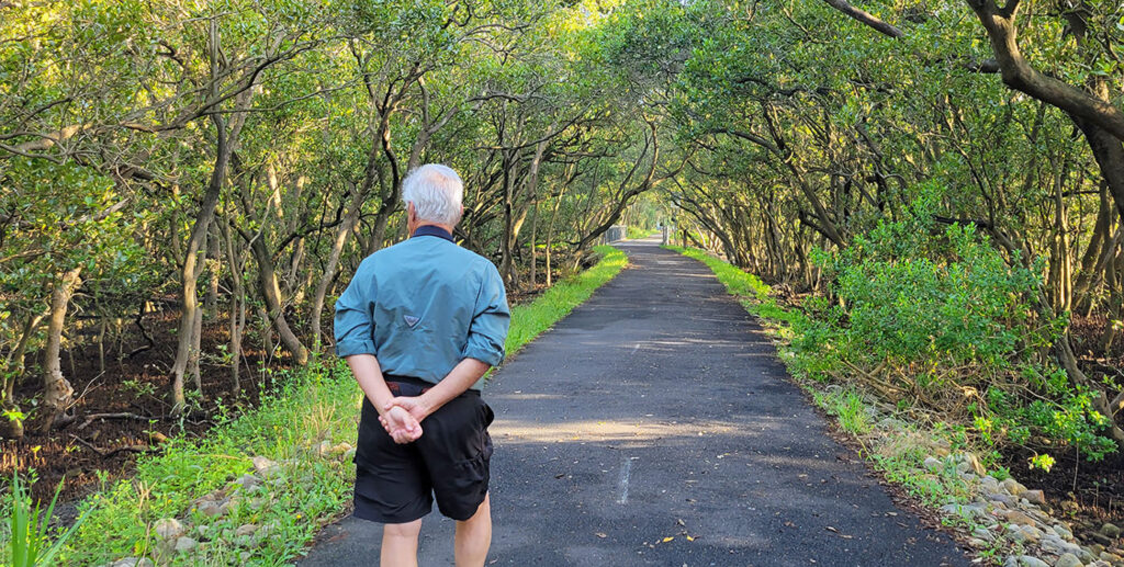 Older man walking through a mangrove forest in Sydney's Olympic park