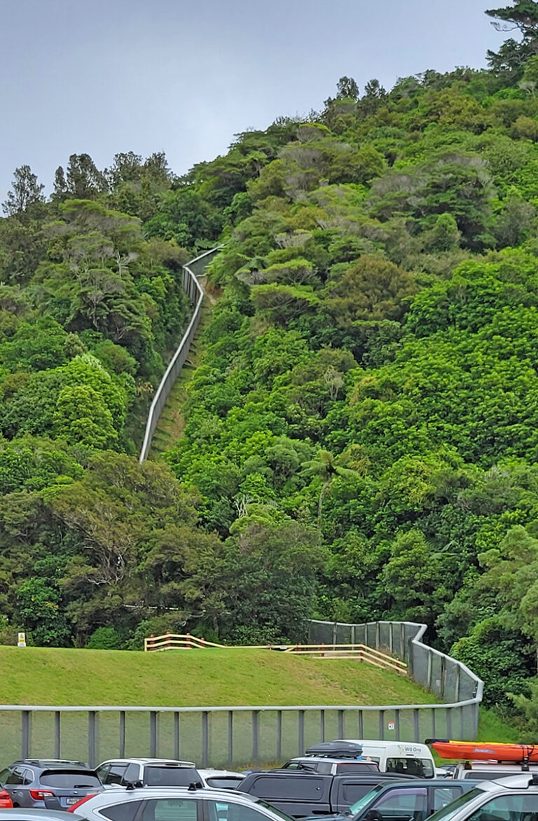 Fence at Zealandia going up the side of a hill.