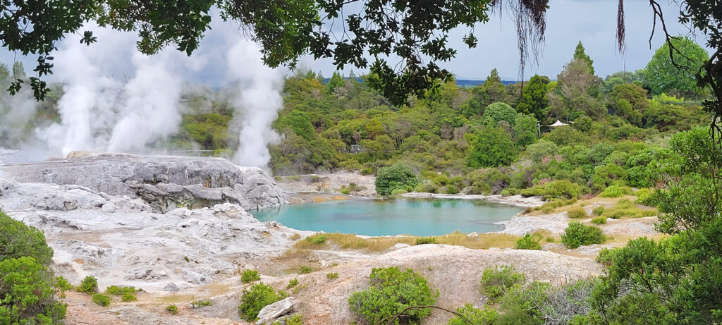 Hot springs and geysers at the Whakarewarewa Village in New Zealand
