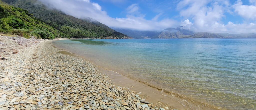 Beach in the Outer Marlborough Sounds