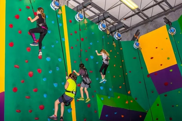 Four women/girls climbing in a rock climbing gym.