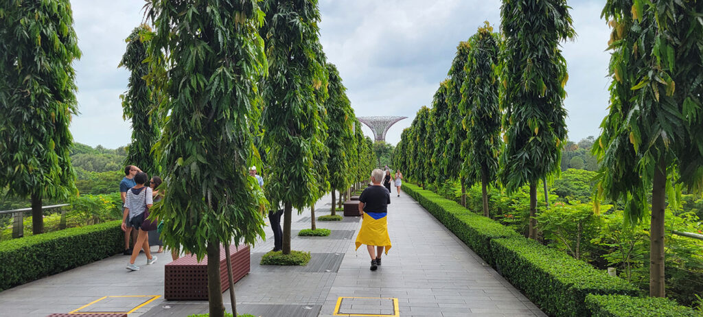 A tree-lined walk from Marina Bay Sands to the Flower Dome