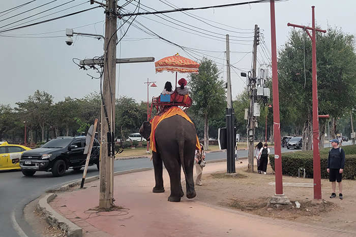 People riding an elephant along a street in Ayutthaya, Thailand