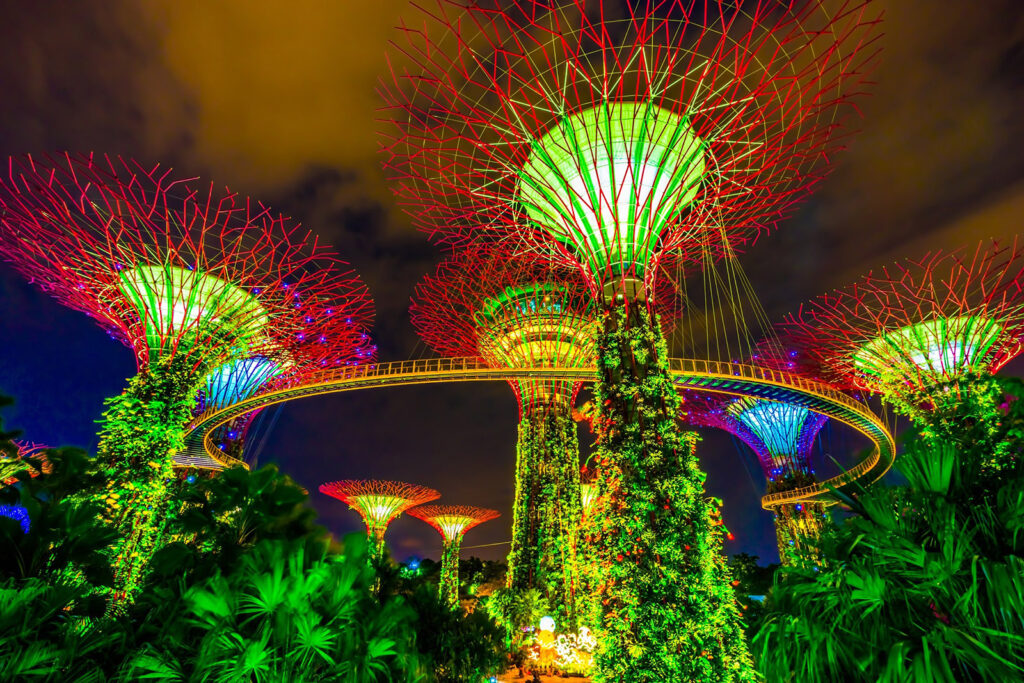 Super Grove trees lit up at night in Singapore.