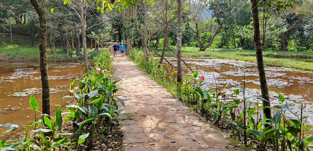A pathway going through two ponds filled with water lily pads in My Son Sanctuary.