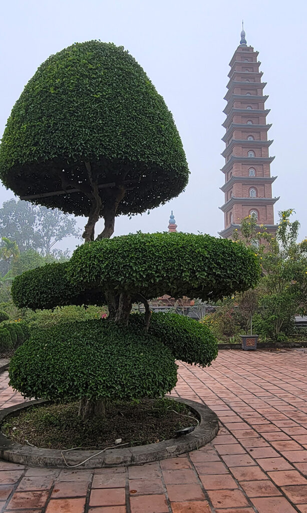 A pagoda with a sculpted tree in the foreground.