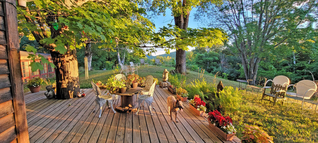 A dog walking across a deck with beautiful surroundings.