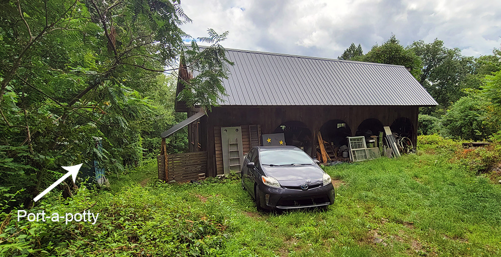Exterior of a cabin/barn surrounded by tall undergrowth