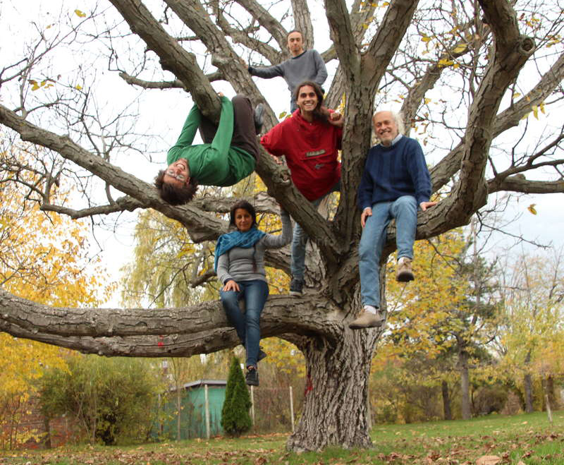 An older couple and 3 young men sitting in a tree. One of the young men is hanging upside down.