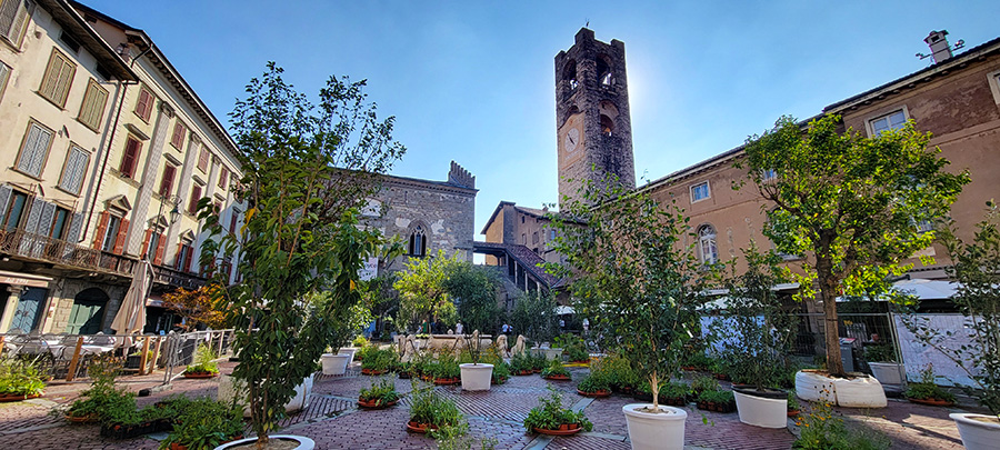 An old Italian piazza filled with potted plants