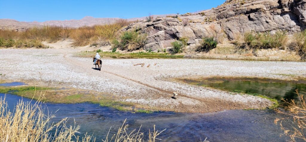 A man riding a horse away from a river followed by his dog.