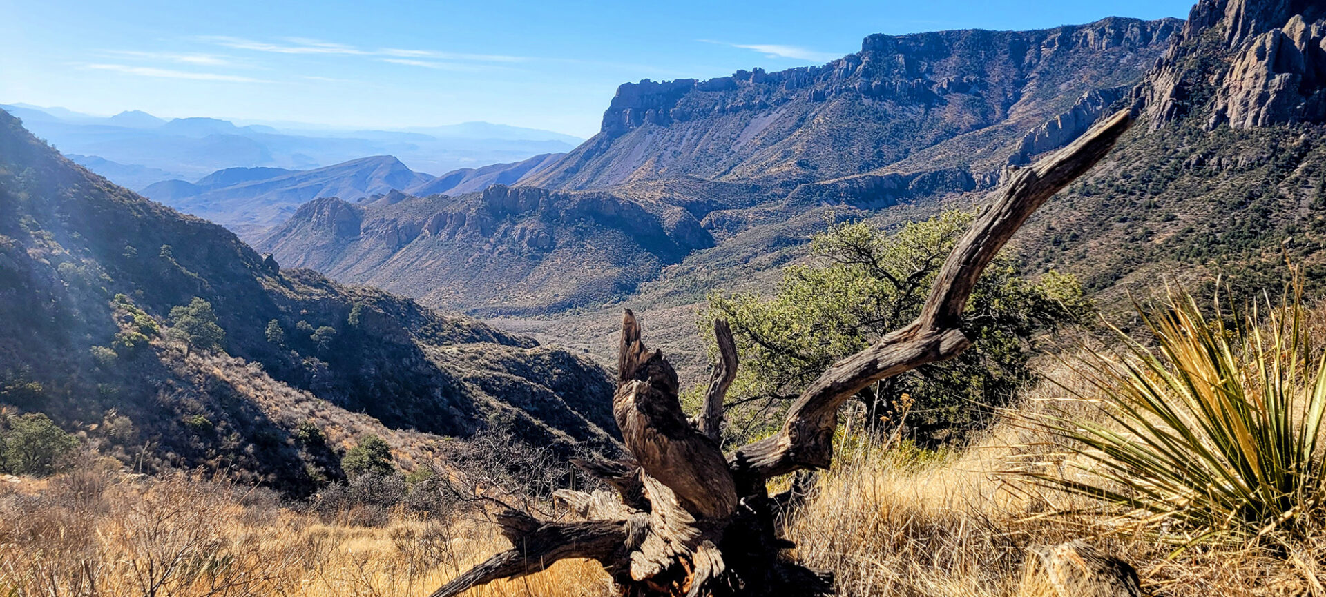 View of a valley with a fallen snag in the foreground.