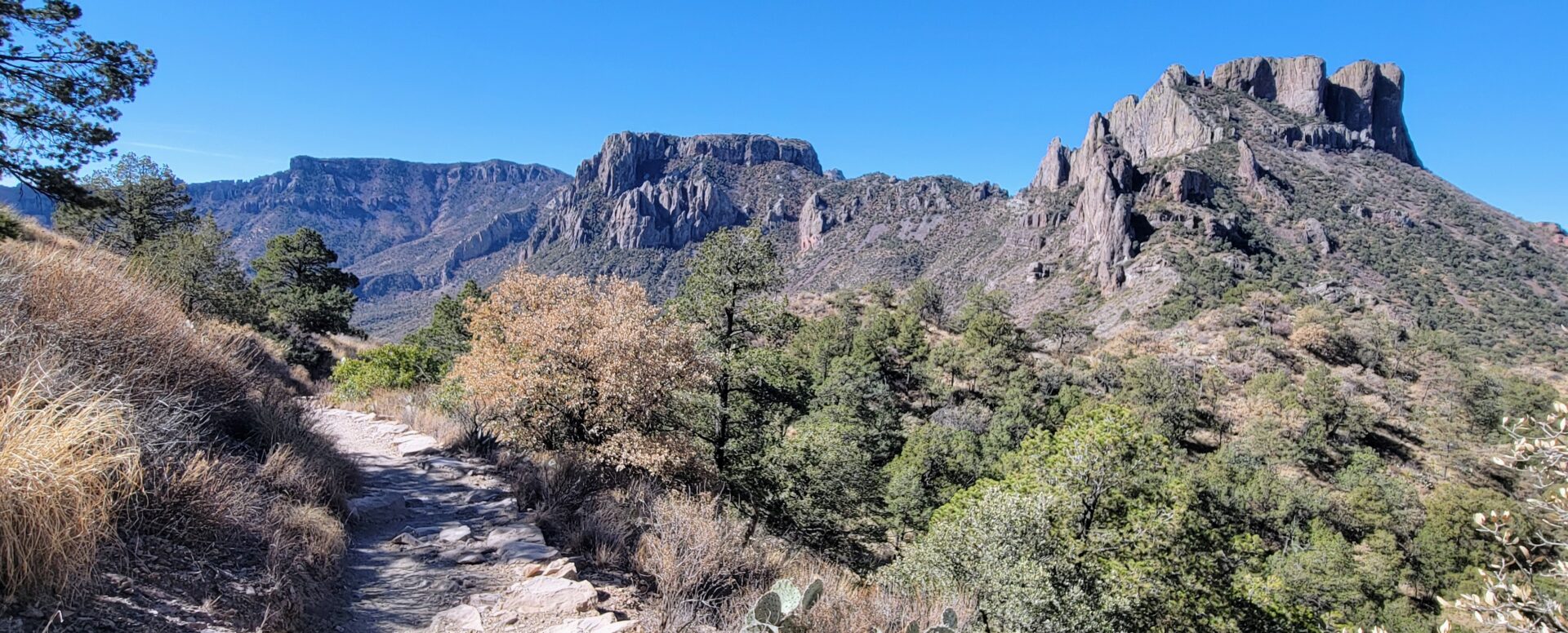 An elevated trail going through brush with rocky peaks in the background.